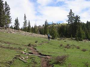 San Pedro Jack walks Clear Ck Tr